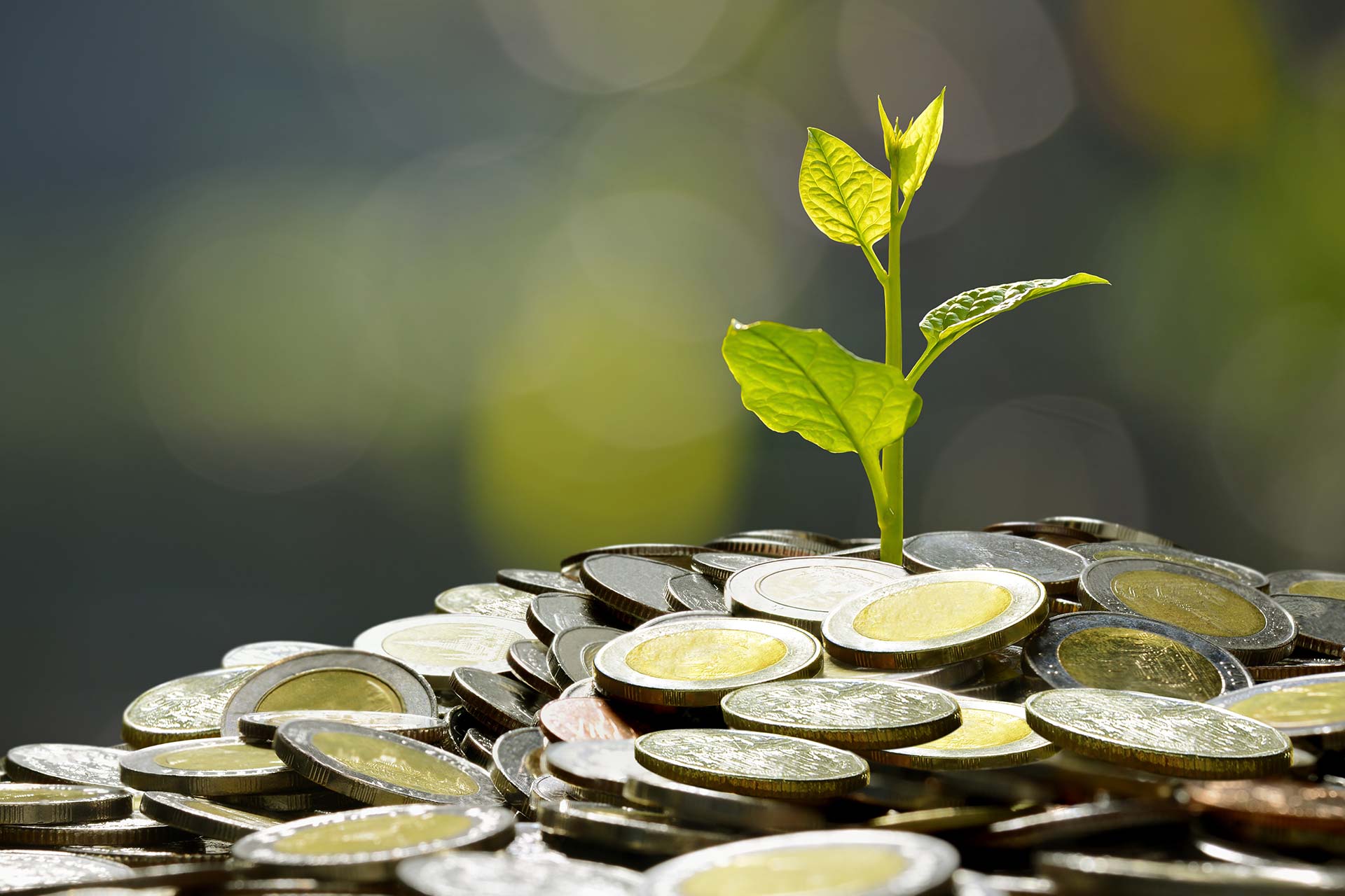The Silent Crisis in Startups and SMEs: When Employees Lose Trust